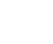 Evolution games at Hippozino Casino